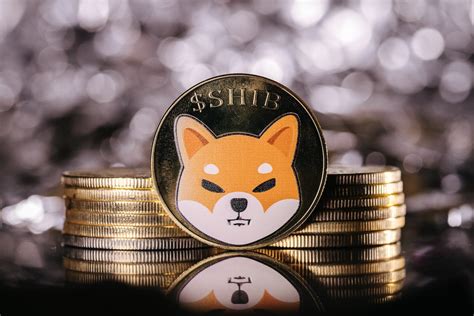 柴犬コインのレイヤー2ネットワーク「シバリウム」、8月に稼働予定 Coindesk Japan（コインデスク・ジャパン）