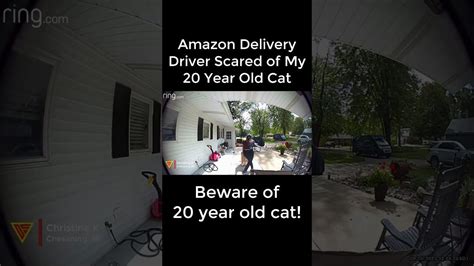 Delivery Driver Throws Package Caught On Ring Camera Doorbell Camera Video Doorbell Camera