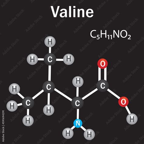 Valine Amino Acid Formula And Structure Chemical Molecular Formula