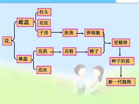 人教版八年级初二生物下册第一节植物的生殖word文档在线阅读与下载无忧文档