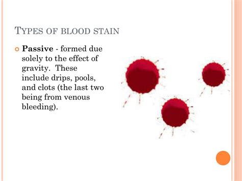 PPT - Blood stain analysis PowerPoint Presentation, free download - ID ...