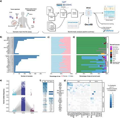 Msk Impact Heme Workflow Sample Distribution And Somatic Mutation