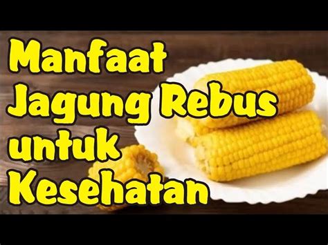 Temukan Manfaat Makan Jagung Rebus Yang Jarang Diketahui Solider