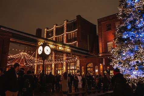 Things to do During Winter in Toronto - Curious Travel Bug