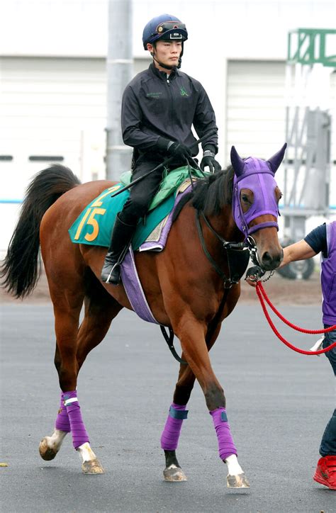 【函館2歳s】ニシノラヴァンダは角馬場で活気ある動き 永野猛蔵騎手「うまく体を使えていた」 Umatoku 馬トク