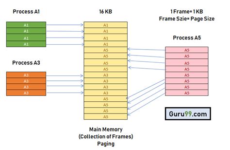 Pagination Et Segmentation Pdf