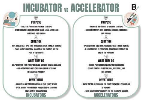 Business Accelerators And Incubators What They Are And Differences B