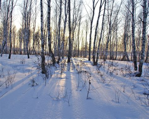 Fondos De Pantalla Luz De Sol Bosque Agua Naturaleza Cielo Nieve