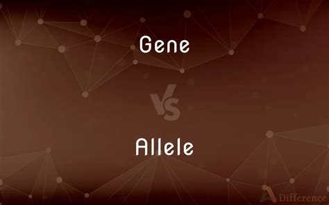 Gene vs. Allele — What’s the Difference?