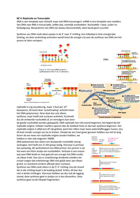 HC 4 Replicatie En Transcriptie MRNA Is Een Template Voor Eiwitten