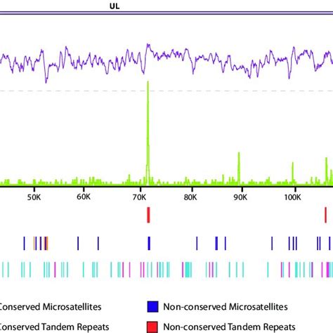 Dna Polymorphism Microsatellite And Tandem Repeat Analysis Of Hsv