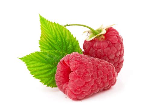 Raspberry Stock Photo Image Of Fruity Healthy Fruit 25399098