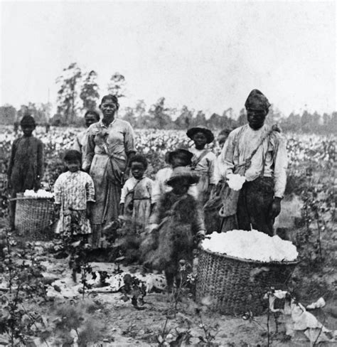 Slavery in Southern States of America during 19th Century - Peachy Essay