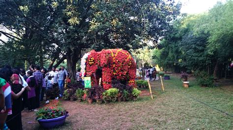 The Magnificent Flower Show at Lal bagh - Tripoto