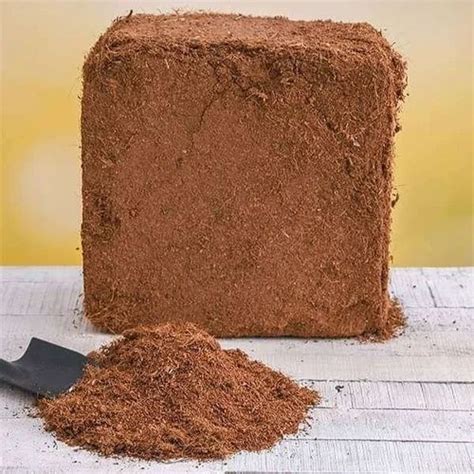 Brown Powder Cocopeat Packaging Type Bag Packaging Size Kg At Rs