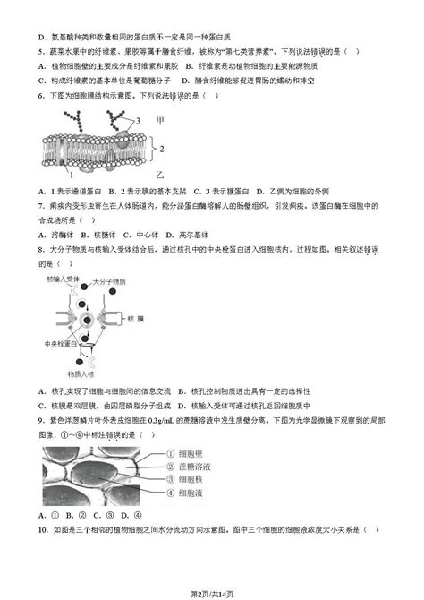 2024届北京丰台高一上学期生物期末试题（图片版）2高考网