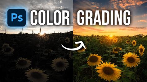 Elevating Visual Storytelling A Comprehensive Guide To Color Grading