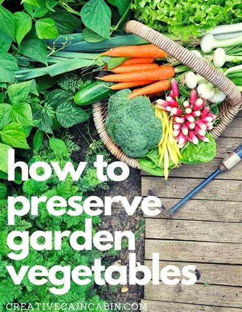 How To Preserve Garden Vegetables Creative Cain Cabin