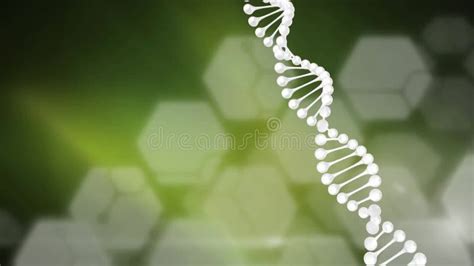 Animation Of Dna Strand And Data Processing Stock Footage Video Of