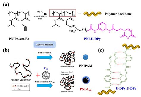 Polymers Free Full Text Self Assembled Supramolecular Micelles Based On Multiple Hydrogen