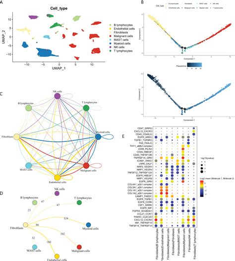 Frontiers Development And Validation Of A Novel Fibroblast Scoring