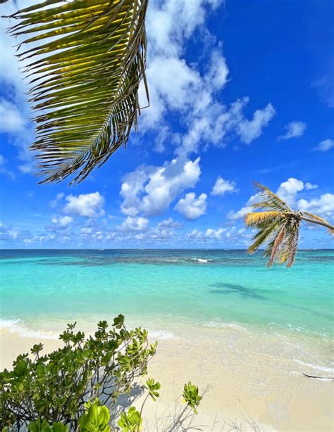 Anguilla Weather in January