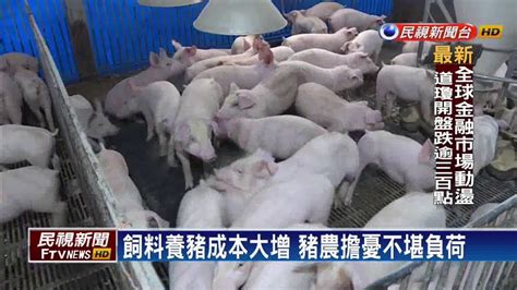 非洲豬瘟－防堵豬瘟 農委會輔導豬農別再用「廚餘」養豬－民視新聞 Youtube