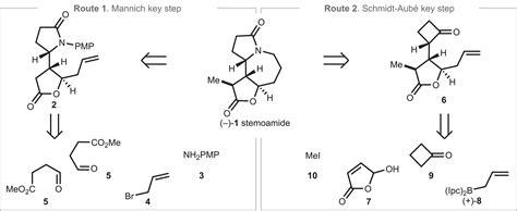 Computer Aided Key Step Generation In Alkaloid Total Synthesis Science