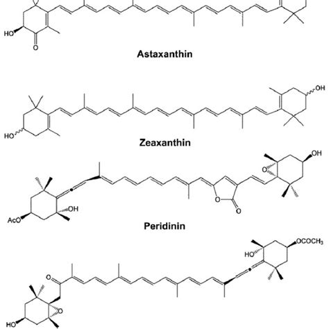 Carotenoids From Marine Organisms Identified By Raman Spectroscopy Download Scientific Diagram