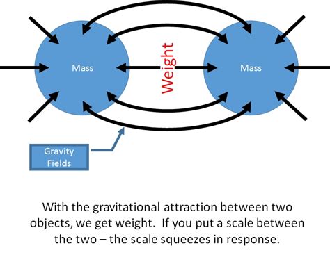 Mass, Weight & Gravity - VISTA HEIGHTS 8TH GRADE SCIENCE