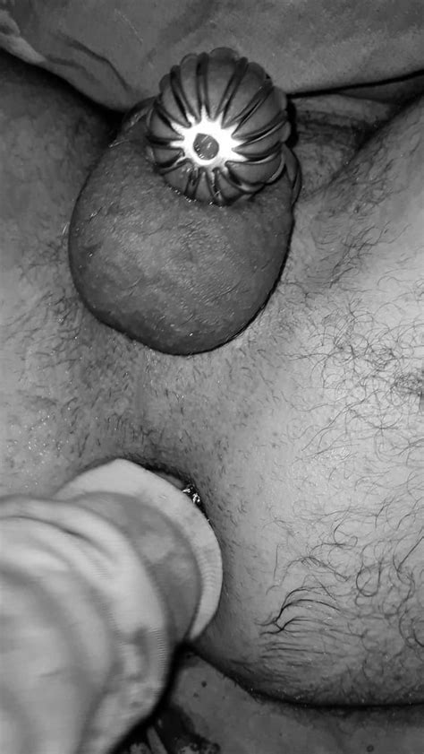 Chastity Pussy Cock Anal Pics XHamster