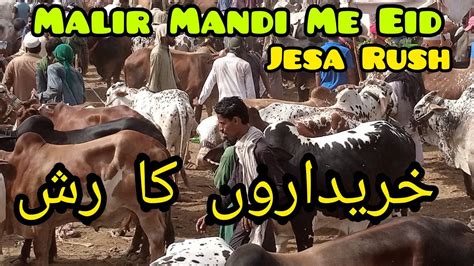 Malir Mandi Bilkul Eid Jesa Mahool Rates Update Mangal Mandi