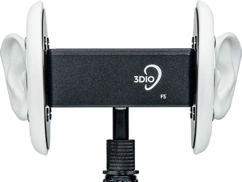 3Dio FS (FS-2W-001) : Amazon.ca: Musical Instruments, Stage & Studio