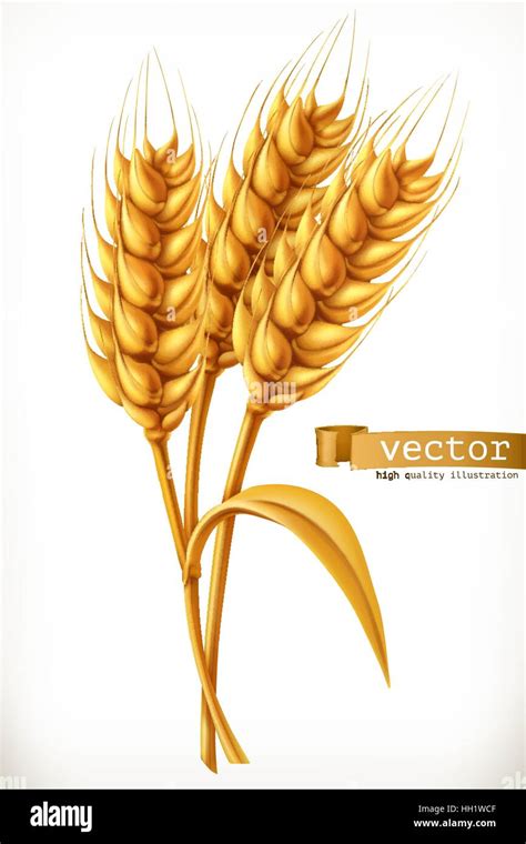 Espiga De Trigo Icono De Vector D Imagen Vector De Stock Alamy