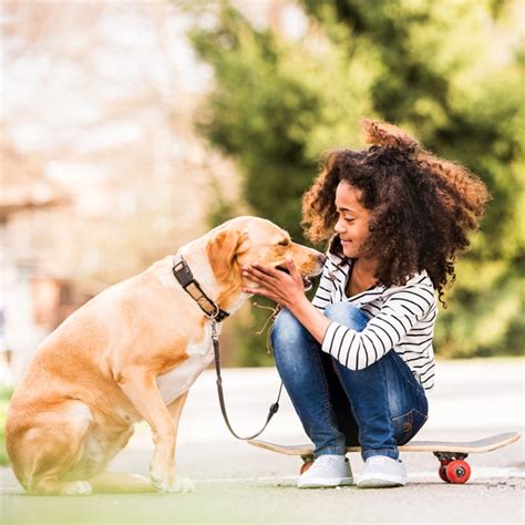 Toolkit Helps You Teach About Dog Bite Prevention American Veterinary