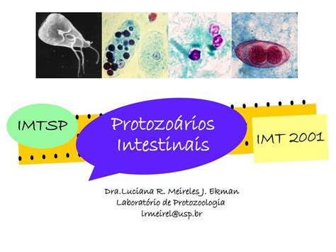 Pdf Protozo Rios Intestinais Dokumen Tips