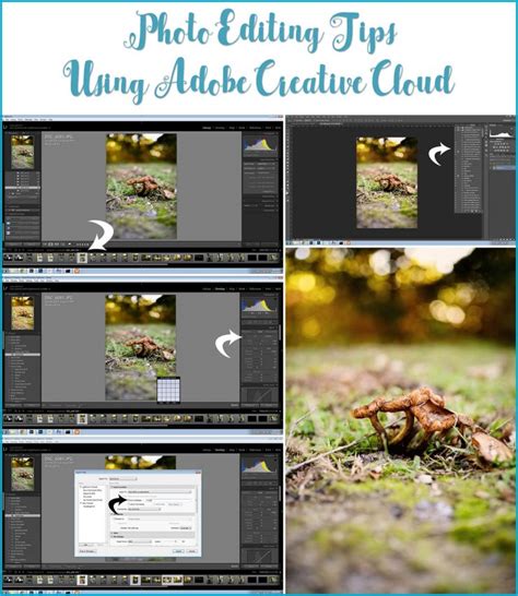 Photo Editing Tips | Adobe Creative Cloud | Sarah Halstead