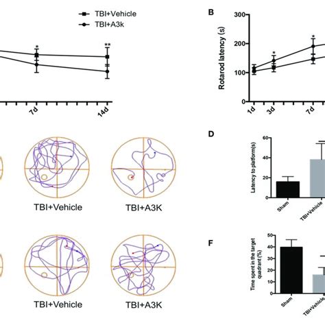 Serpina3k Improved Neurological Function In Mice Following Tbi Mnss