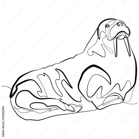 Walrus One Line Drawing Line Art Seal Animal Vector Illustration Stock