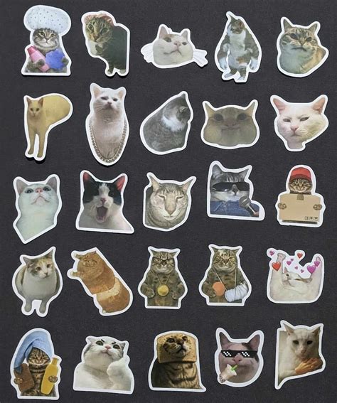 50x Funny Cat Meme Stickers, No Repeats - Etsy