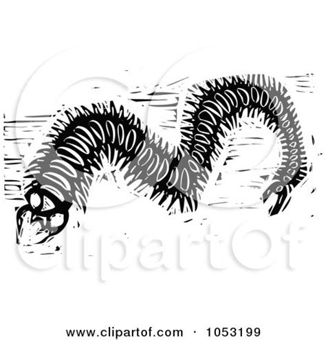 Clipart Of A Retro Vintage Black And White Centipede - Royalty Free Vector Illustration by ...