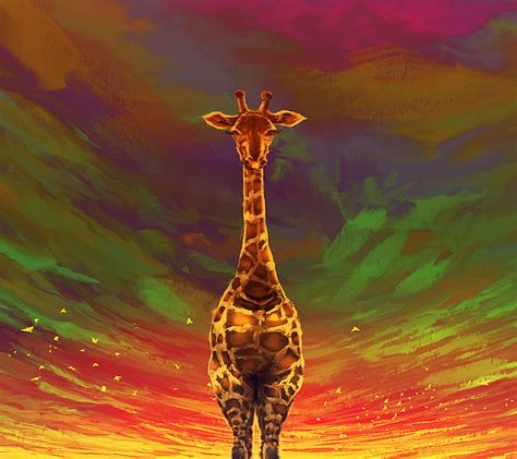 Giraffe Colourful Sky Hd Wallpaper Peakpx