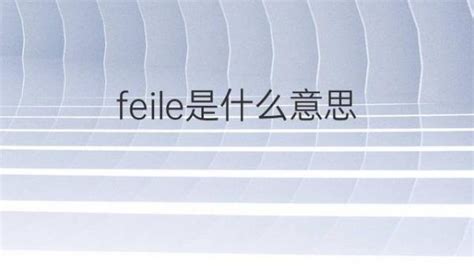 Feile是什么意思 Feile的翻译、读音、例句、中文解释 下午有课