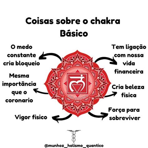 Coisas sobre o Chakra Básico em 2024 Cura holística Citações reiki