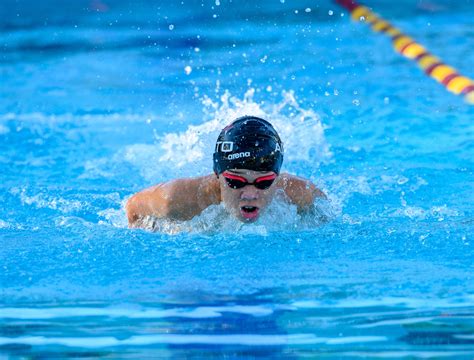 The Best Competitive Swim Team In Palo Alto — Alto Swim Club