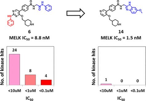 Addition And Subtraction Selectivity Design For Type Ii Maternal