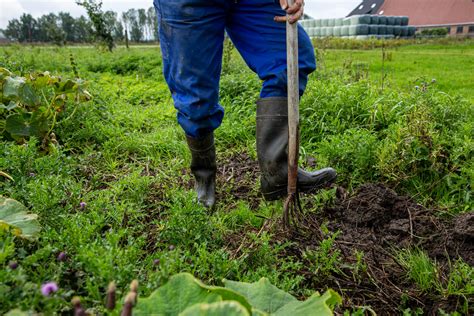 Een Gezonde Bodem Is De Basis Voor Gezond Vlees Blog Grutto