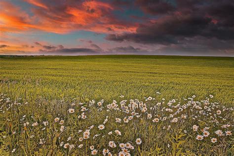 Greenfields Forever Photograph By John Butler Fine Art America