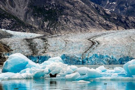 Klimakrise In Alaska Schmilzt Ein Riesiges Eisfeld Immer Schneller