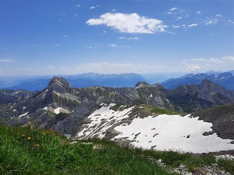 Blick Richtung Rheintal Fotos Hikr Org